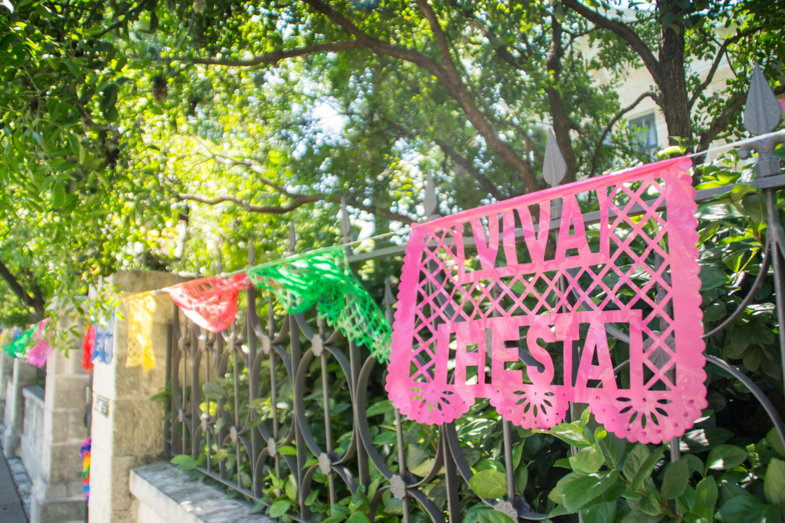 Viva Fiesta decorations during San Antonio fiesta in King William historic district, Texas, USA